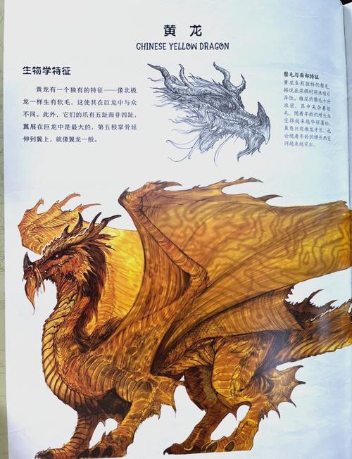 祖龙完美国际,探索无限可能的奇幻世界